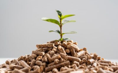 ¿Cómo elegir la caldera de pellets que más nos conviene?